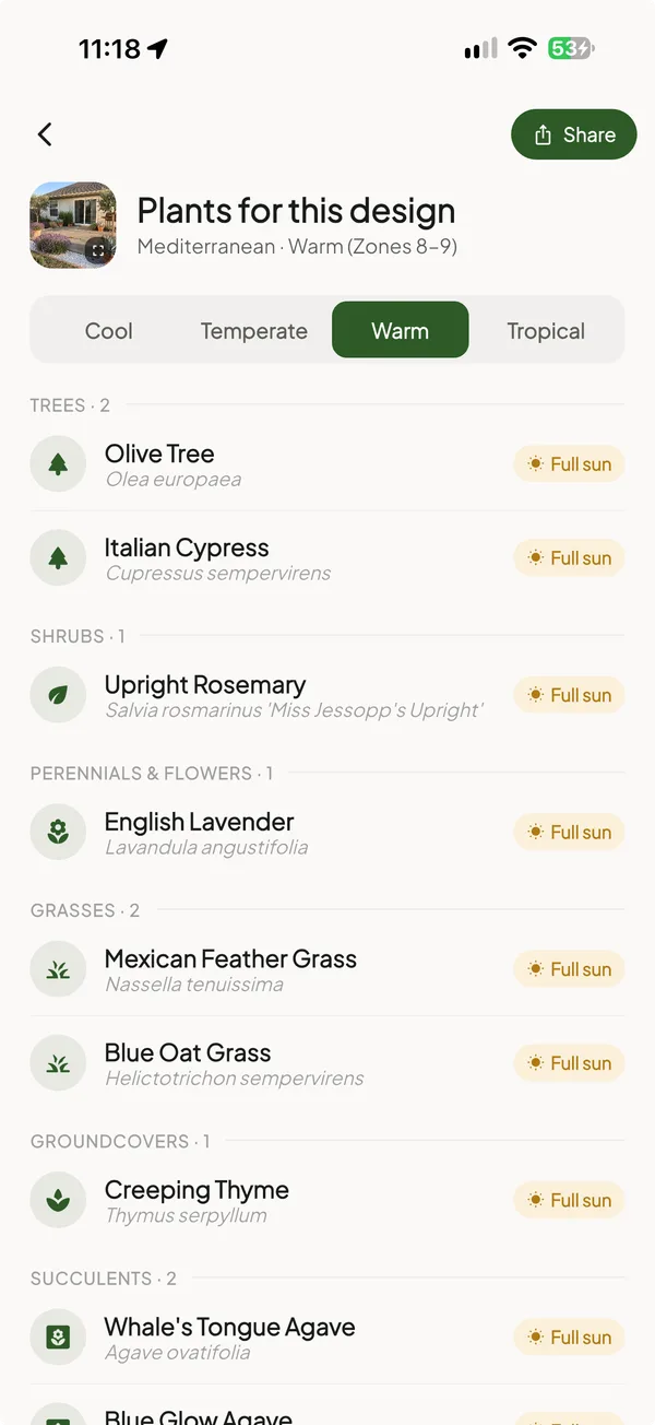 Plants for this design screen listing olive tree, Italian cypress, rosemary, English lavender, feather grass, blue oat grass, creeping thyme and agave for a warm climate, each marked full sun
